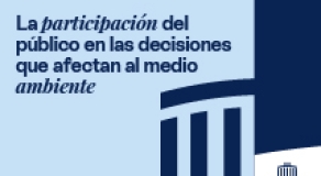 La participación del público en las decisiones que afectan al medio ambiente