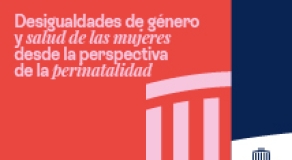 Desigualdades de género y salud de las mujeres desde la perspectiva de la perinatalidad