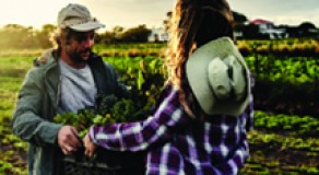 PROMOTING LOCALLY DEVELOPED, SUSTAINABLE FOOD