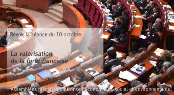 Revoir la séance du 10 octobre 2012 : La valorisation de la forêt française