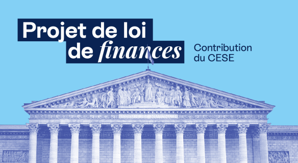 Projet de loi de finances : contribution du CESE