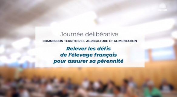 vignette reportage