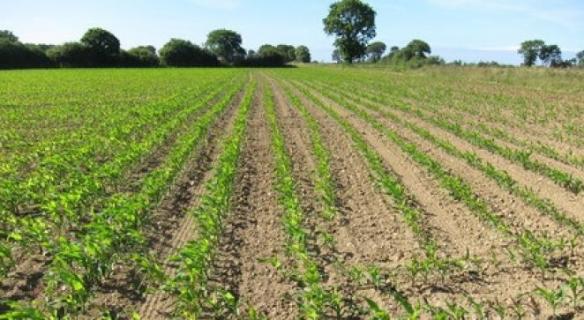 La bonne gestion des sols agricoles : un enjeu de société