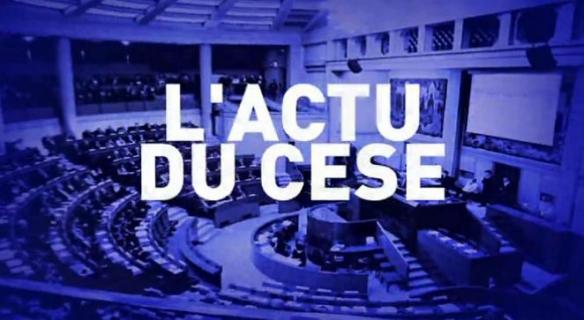 Monde de l'entreprise et concertation publique, l'actualité des débats au CESE