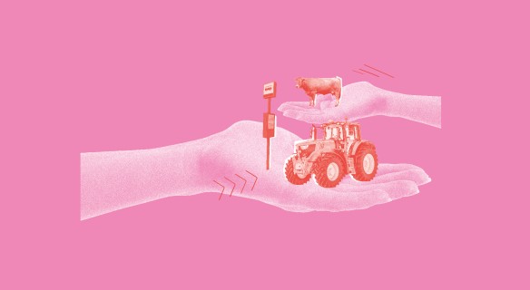 Accompagner les territoires, construire notre souveraineté agricole