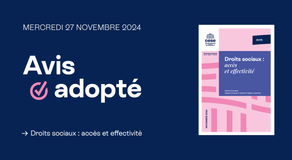 L'avis du CESE "Droits sociaux : accès et effectivité" a été adopté