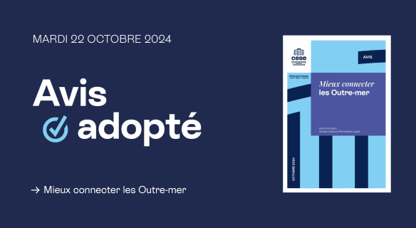 Mieux connecter les Outre-mer, avis adopté par le CESE