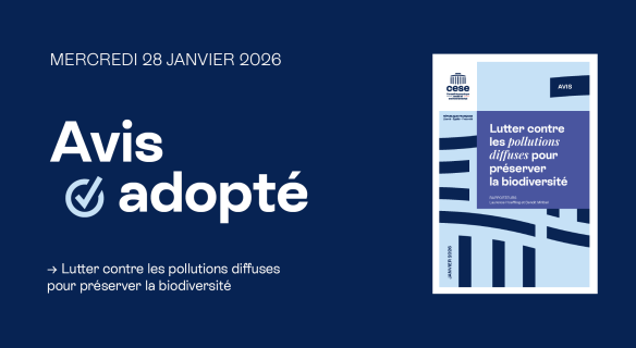 Visuel institutionnel du CESE annonçant l'adoption, le mercredi 28 janvier 2026, de l'avis intitulé "Lutter contre les pollutions diffuses pour préserver la biodiversité". L'image présente la couverture officielle du rapport mentionnant les rapporteurs Laurence Hoeffling et Benoît Miribel, sur un fond bleu marine professionnel.