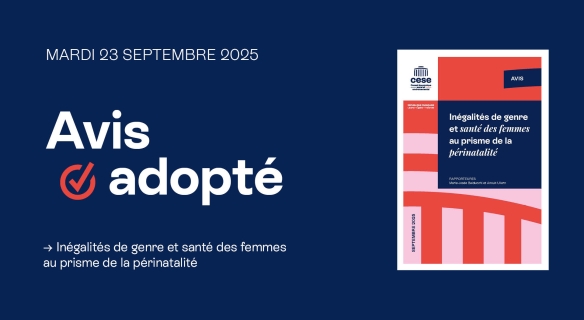 Inégalités de genre et santé des femmes au prisme de la périnatalité.