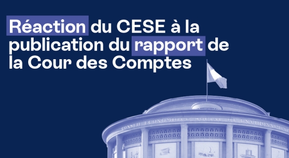 Réaction du CESE à la publication du rapport de la Cour des Comptes