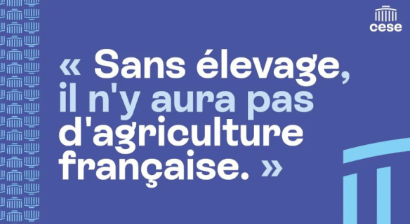 Avis du CESE sur l'élevage