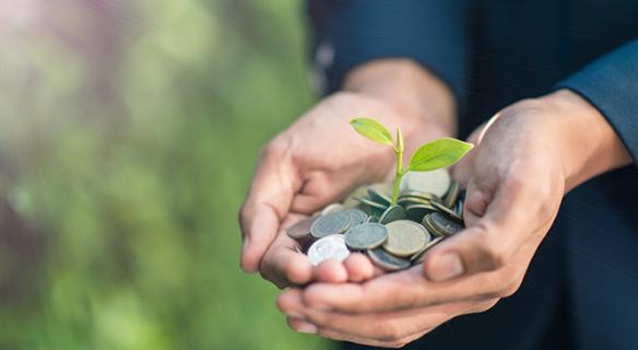 grande responsabilité sociale et environnementale ? ...