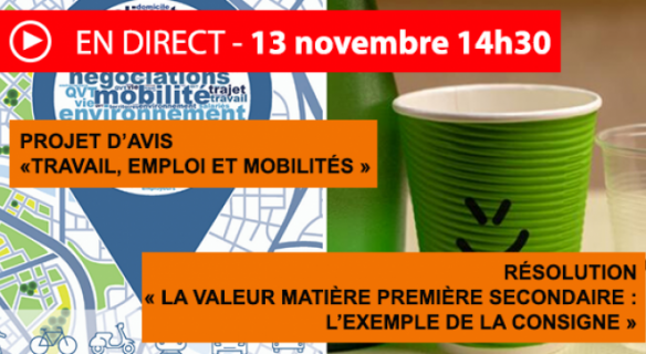 Revoir la séance plénière du 13 novembre