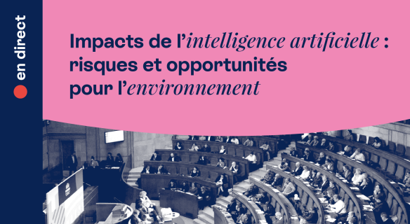 Séance plénière du CESE le 24 septembre 2024 - Impacts de l'IA : risques et opportunités pour l'environnement