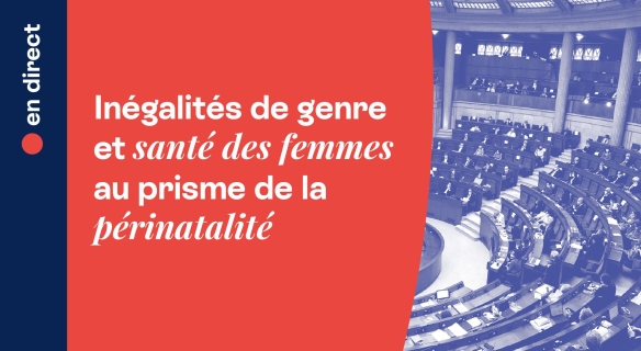 Inégalités de genre et santé des femmes au prisme de la périnatalité.