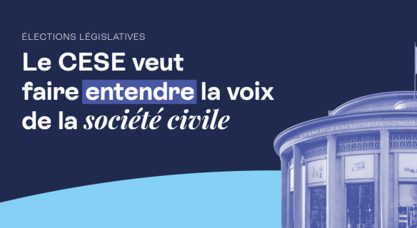 Élections législatives : le CESE veut faire entendre la voix de la société civile