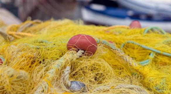 Retours sur la réforme de la Politique commune des pêches (PCP)