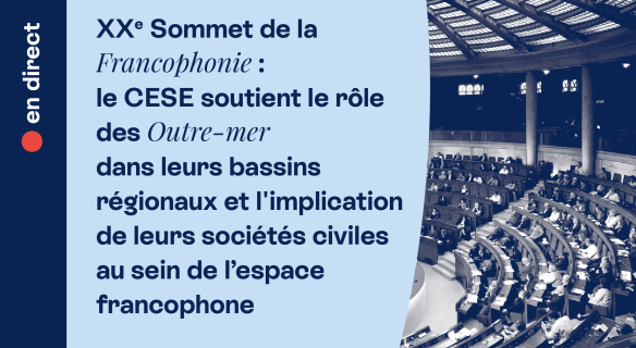 Visuel annonçant la séance plénière du CESE sur le rôle des Outre-mer dans l’espace francophone, accompagné d’une photographie de l’hémicycle du Palais d’Iéna.