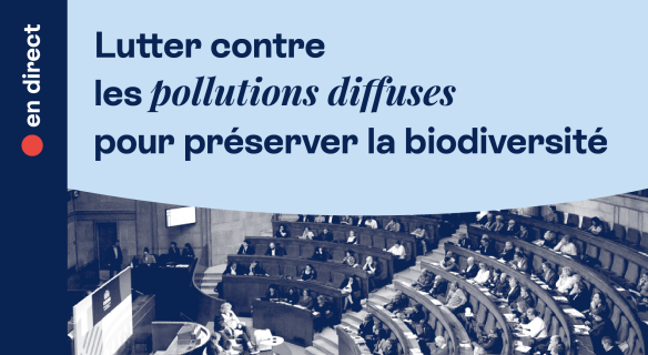 Lutter contre les pollutions diffuses pour préserver la biodiversité - Séance plénière à suivre en direct