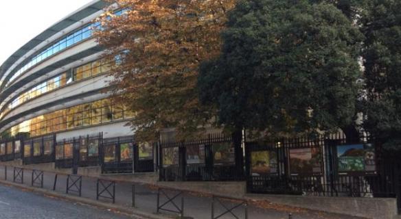 Expositions sur les grilles du CESE