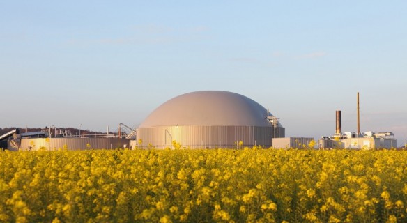 site de biomasse