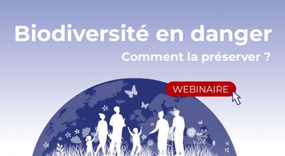 Illustration webinaire