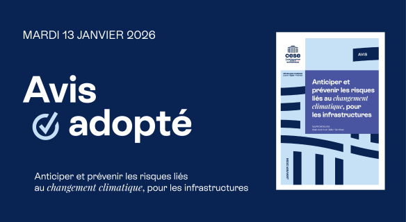avis adopté infrastructures et climat