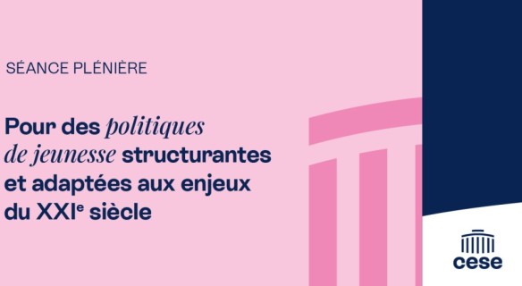 solution est adoptée par le CESE...