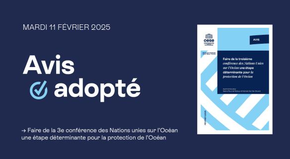 Avis adopté : Faire de la 3e conférence des Nations unies sur l’Océan une étape déterminante pour la protection de l’Océan