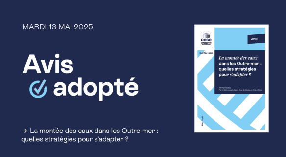 Montée des eaux dans les Outre-mer : avis du CESE adopté