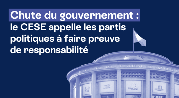 Visuel du communiqué de presse du CESE sur la chute du Gouvernement suite à la motion de censure de décembre 2024