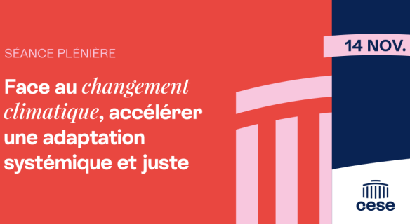 Comment accélérer notre adaptation au changement climatique ? Le CESE rend son avis 