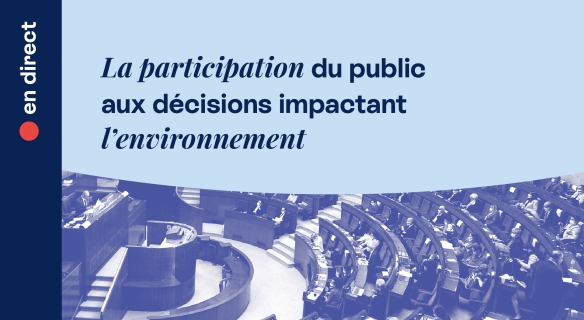 séance plénière participation du public aux décisions environnementales