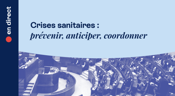 séance plénière crises sanitaires