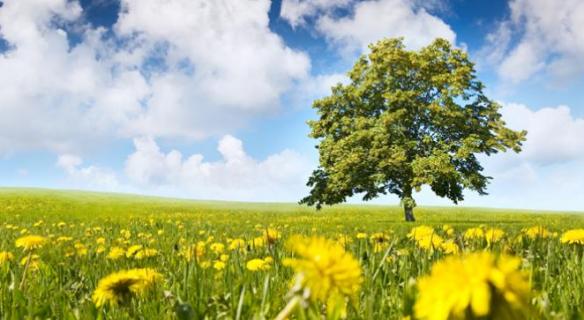 Agir pour la biodiversité