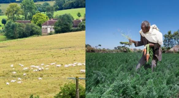 Le CESE s'est prononcé sur l'agriculture familiale