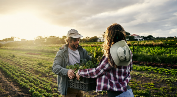 Agriculture : l'enjeu de la (re)territorialisation de l’alimentation