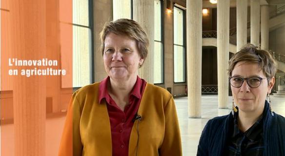 Le CESE a adopté l'avis "L'innovation en agriculture"
