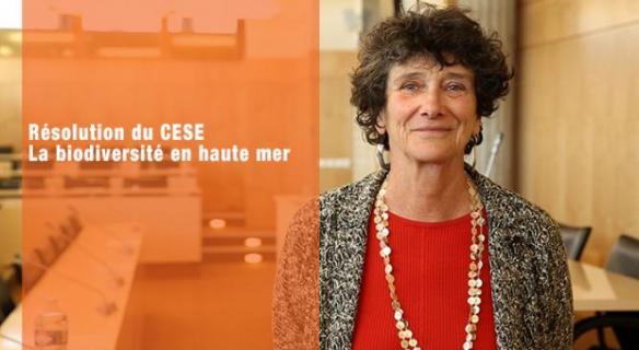 Le CESE a adopté sa résolution "La biodiversité en haute mer"