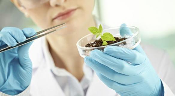 Vers une bioéconomie durable