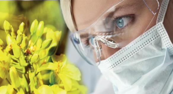 Séance du 28/03/2017 : la bioéconomie durable