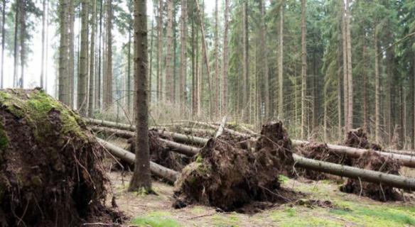 Les territoires face aux catastrophes naturelles : quels outils pour prévenir les risques ?