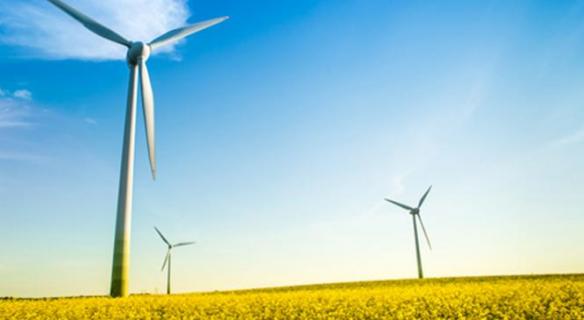 Fin des auditions pour l'adaptation de la France au changement climatique mondial