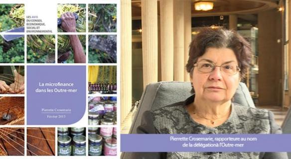 Le CESE a rendu ses préconisations sur la microfinance dans les Outre-mer