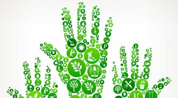 La démocratie environnementale