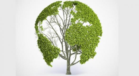 Journée internationale de l'environnement