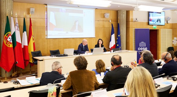 Erasmus des sociétés civiles