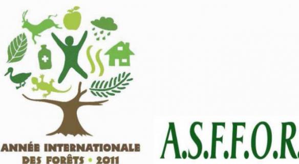 30 novembre - La foret : investisseurs et developpement durable 