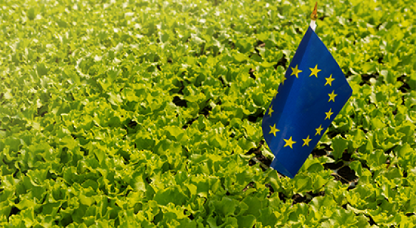 pacte vert de l'UE