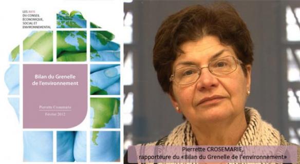 Le CESE a rendu son avis sur le bilan du Grenelle de l'environnement